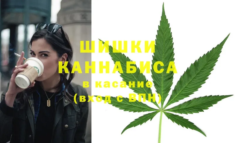 Бошки Шишки Ganja  площадка формула  Шумерля 